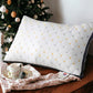 Pack of 2 luxury Decorative pillows