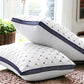 Pack of 2 luxury Decorative pillows
