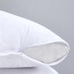 Pack of 2 Cotton Terry Waterproof Pillow