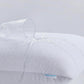 Pack of 2 Cotton Terry Waterproof Pillow